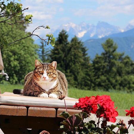 Niederhaeusererhof Pfalzen Buitenkant foto