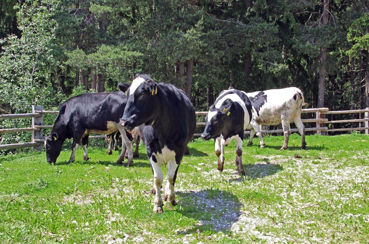 Niederhaeusererhof Pfalzen Buitenkant foto